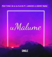 Pexi-Tonic SA & Dj 9.8 SA – uMalume Ft Laanoss & Ceekay Musiq