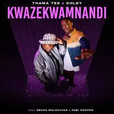Thama Tee & Chley feat. Sbuda Maleather & Pabi Cooper – Kwazekwamnandi
