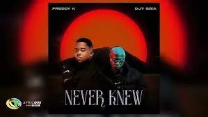 Freddy K and Djy Biza – Never Knew