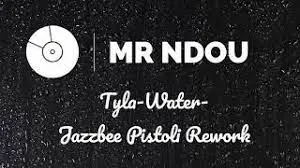 Tyla – Water(Jazzbee Pistoli Rework)