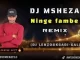 DJ MSHEZA – Ninge fambe (REMIX), Dj Lenzo & Kgadi-gal