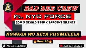 BAD BEE CREW X NYC FORCE – NGWAGA WO REYA PHUMELELA (NEW 45)