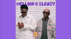 Mellow & Sleazy, TmanXpress – Sghubu Ft. Vin Tao & LulownoRif