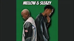 Mellow & Sleazy – Bayasha Abantu feat. Lady Du & Chiwawa9.1