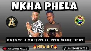 PRINCE MALIZO X NTK WADI BEATS – NKHAPHELA (NEW HIT)