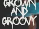 Shuga Cane & Kmore SA – Grown and Groovy