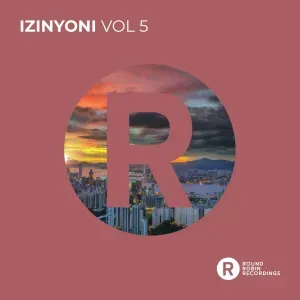 VA – Izinyoni, Vol. 5