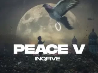 InQfive – PEACE V