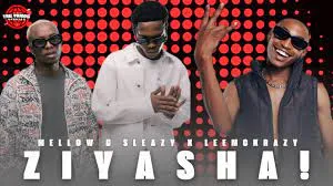 Mellow & Sleazy X LeeMckrazy – Ziyasha!