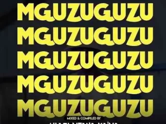 uLazi – MGUZUGUZU Vol. 21 (Strictly Infinity MusiQ)