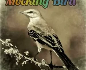 Luxury SA – Mocking Bird