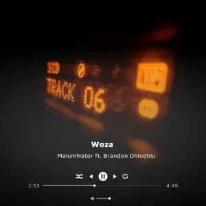 MalumNator & Brandon Dhludhlu – Woza