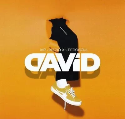 Mr JazziQ & Leerosoul – David