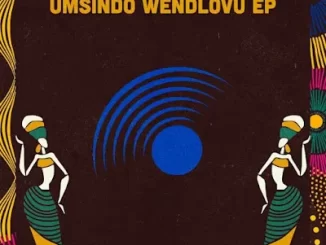 AfroNerd – uMsindo weNdlovu