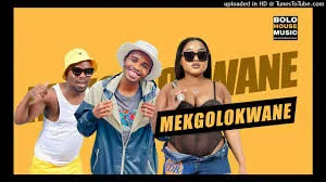 Mekgolokwane – Charlie One Feat. 071 Nelly The Master Beat & Mukololo