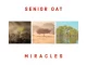 Senior Oat – Miracles