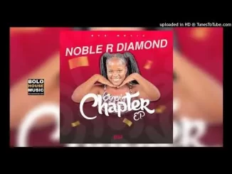 Noble R Diamond – Vhulenda feat. CK The DJ & Emelda Nation