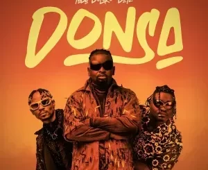 Yaba Buluku Boyz – Donsa