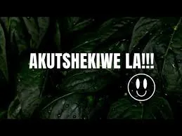 Funky Freaks SA x Last Bee x Ntokzeen – Akutshekiwe La!!!