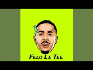 Felo Le Tee & Mawhoo – uDali feat.Mellow & Sleazy, Noxolo Ngema