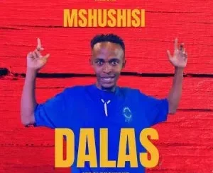 Dalas Mdalangwane – Mshushisi