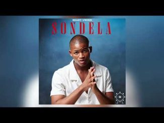 Beast Viking – Sondela