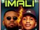 Kraizie & Emtee – Imali