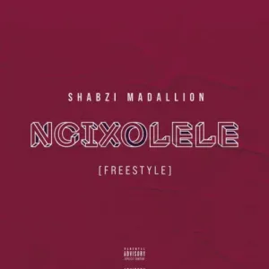 Busta 929 – Ngixolele ft. Boohle (ShabZi Madallion Remix)