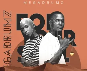 Megadrumz – Ngiyazithandela Ft Nkatha & Nacely