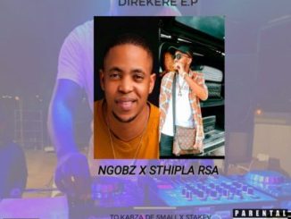 Ngobz & Sthipla RSA – 10111 ft Mellow & Sleazy, Felo le Tee & Zan Ten