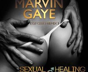 Marvin Gaye – Sexual Healing (Dj Cleo Amapiano Remix)