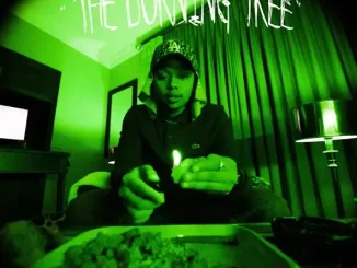 The Burning Tree: Remix Deluxe A-Reece