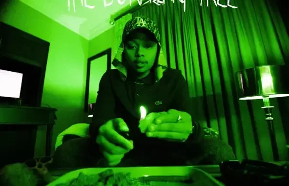 The Burning Tree: Remix Deluxe A-Reece