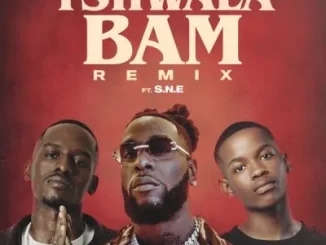 TitoM, Yuppe & Burna Boy – Tshwala Bam (Remix) ft S.N.E