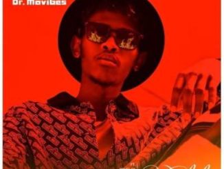 Dr Mavibes – Umlilo Ft. Blaq Diamond, Snymaan, Manny Yack & Brvdley