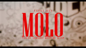 Ceeka RSA – Molo(Official Audio)feat. Tyler ICU, Leemckrazy, Matute Boy, DJ Exit