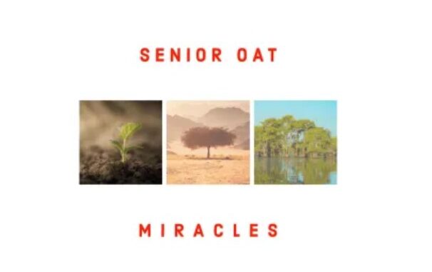 Senior Oat – I Am Free (feat. Bukeka)