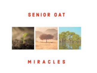 Senior Oat – Yaweh (feat. Lizwi)