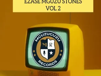 ULazi & Infinity MusiQ - Ezase Mguzu Stones, Vol. 2