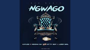 Kaylee - Ngwago ft. Ndona SA, Kitty Boy & Lizer Girl