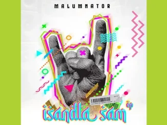 MalumNator – Uyazulazula feat. Scotts Maphuma & Dynamic Duo