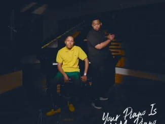 Vigro Deep & Freddy K – Your Piano Is Not My Piano