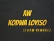 Deejay Zebra SA – Aw Kodwa Loyiso (Gqom Remake) Ft Pro-Tee